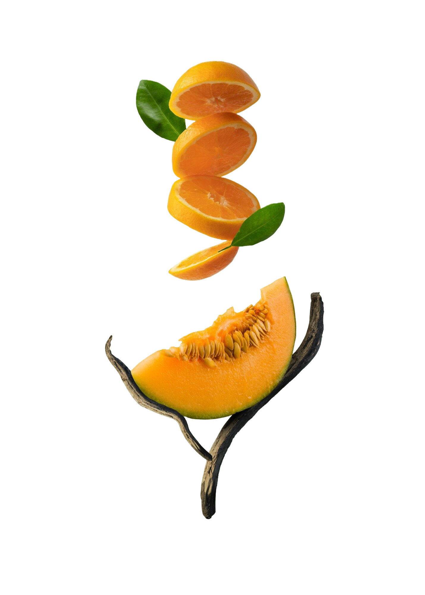 collage-3d-fruits-textures