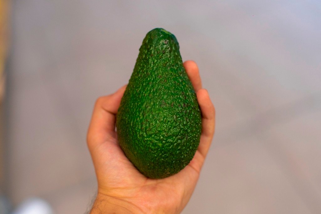 A green avocado in the hand of a person